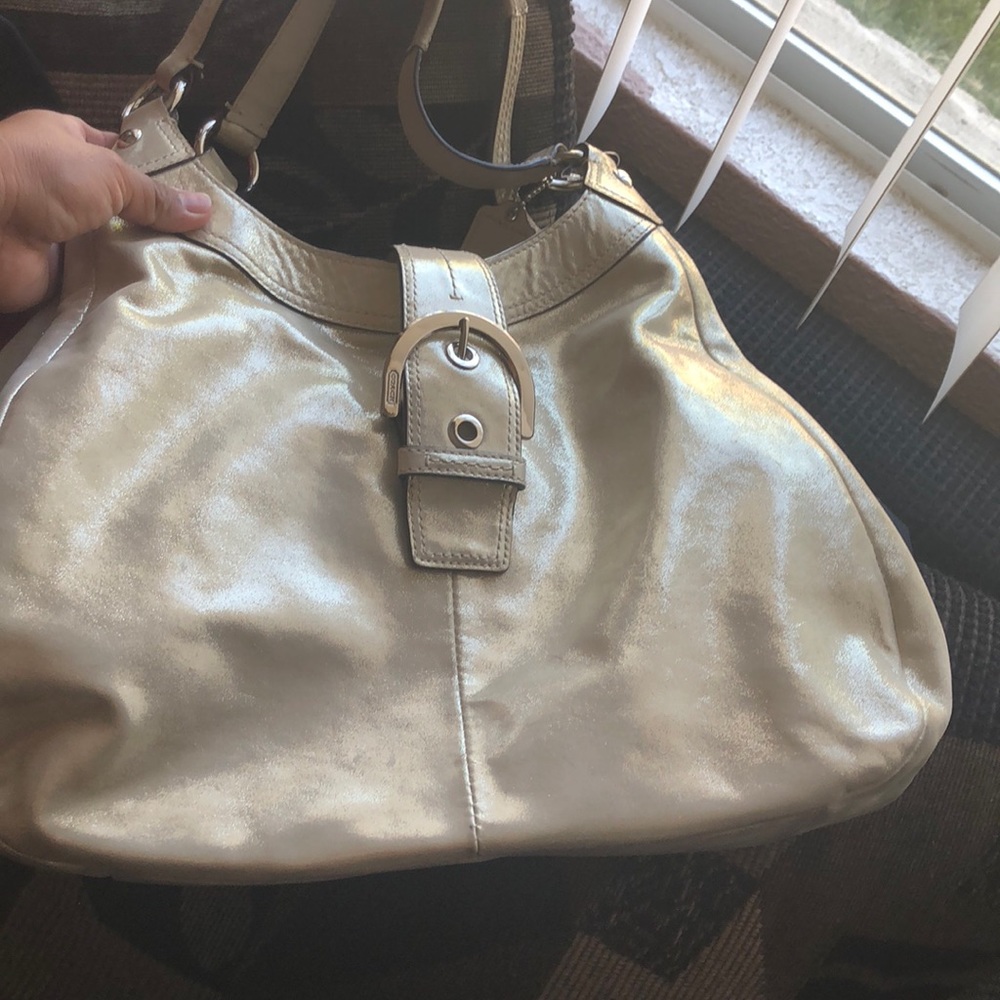 Metallic Coach Purse